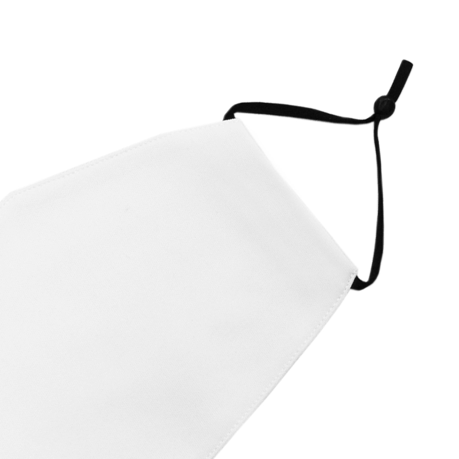 10 Face Masks, Swing Heat Press, Eco Tank Printer, Vinyl Cutter & Signcut Pro